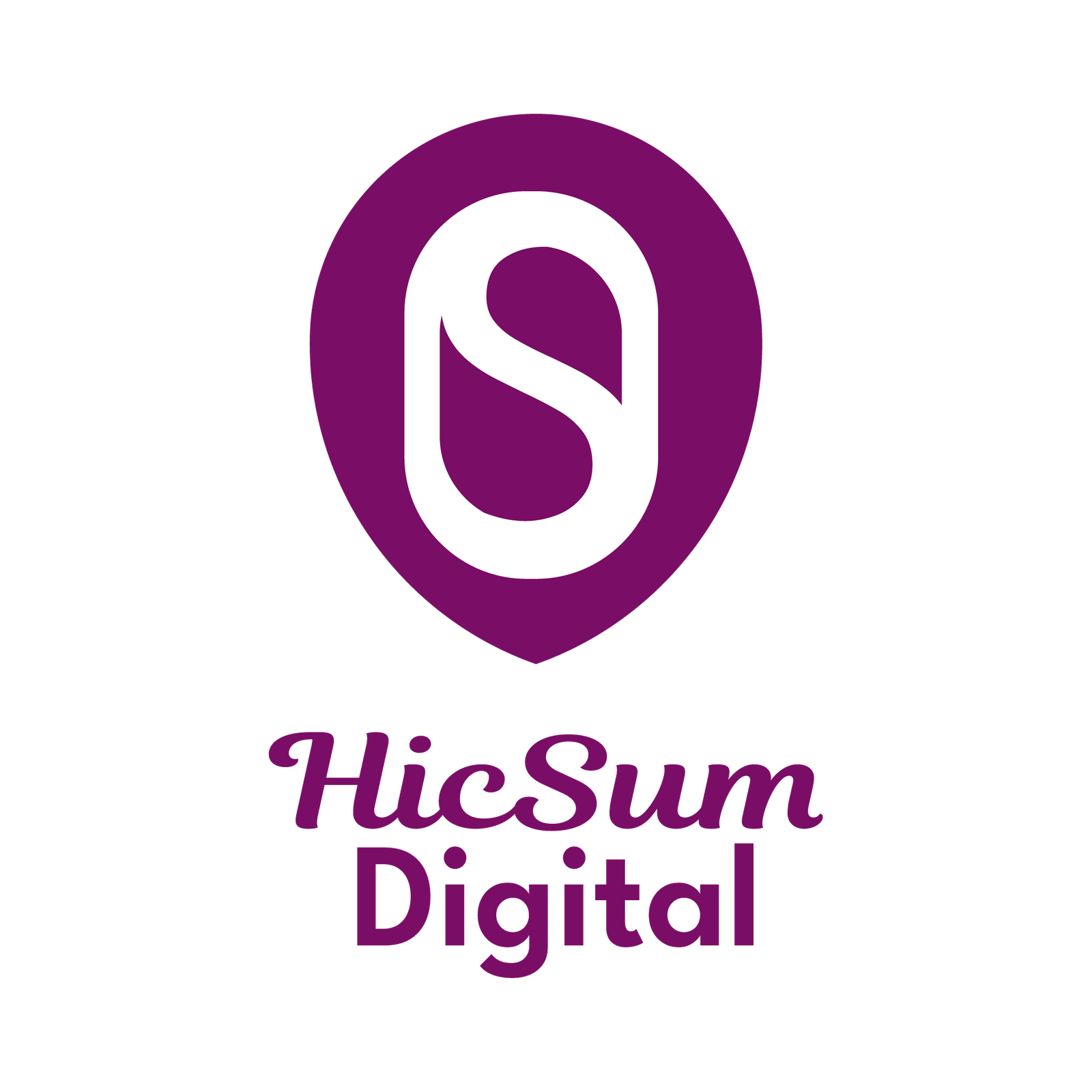 KOMBINOVANI LOGO -01 hicsum logo<br />